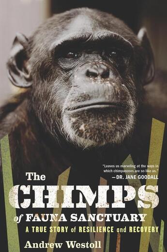 Couverture du livre « The Chimps of Fauna Sanctuary » de Westoll Andrew aux éditions Houghton Mifflin Harcourt