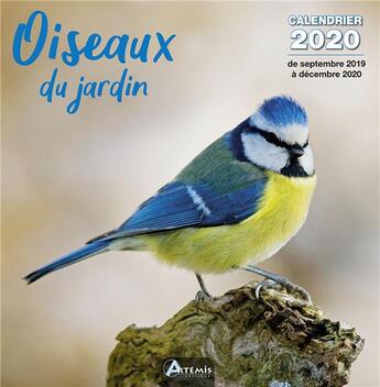 Couverture du livre « Calendrier oiseaux du jardin (2020) » de  aux éditions Artemis