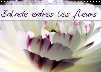 Couverture du livre « Balade entre les fleurs calendrier mural 2020 din a4 horizontal - photos de fleurs des champs et » de Capellaro Nadin aux éditions Calvendo