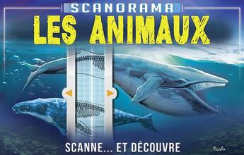 Couverture du livre « Scanorama ; les animaux ; scanne... et découvre » de  aux éditions Piccolia