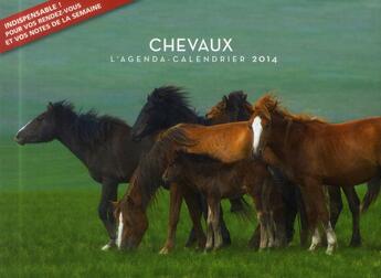 Couverture du livre « Agenda calendrier chevaux 2014 » de  aux éditions Hugo Image