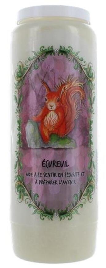 Couverture du livre « Neuvaine animal totem - ecureuil » de  aux éditions Dg-exodif