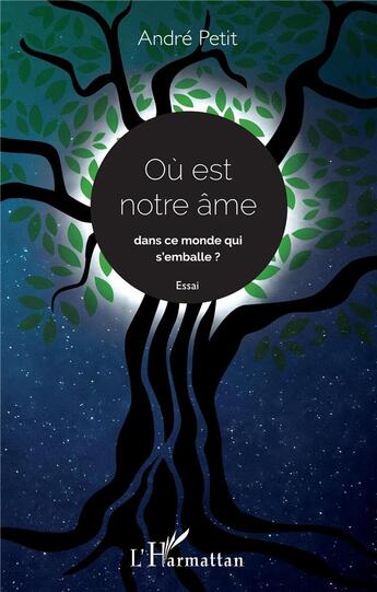 Couverture du livre « Où est notre âme dans ce monde qui s'emballe ? » de Andre Petit aux éditions L'harmattan