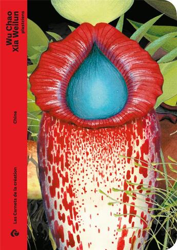 Couverture du livre « Wu Chao, Xia Weilun, plasticiens » de Xavier Kawa-Topor aux éditions Editions De L'oeil