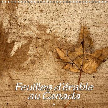 Couverture du livre « Feuilles d erable au canada calendrier mural 2018 300 300 mm - la beaute des feuilles d erabl » de Waterloos P aux éditions Calvendo