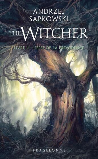 Couverture du livre « The witcher (le sorceleur) Tome 2 : L'épée de la providence » de Andrzej Sapkowski aux éditions Bragelonne