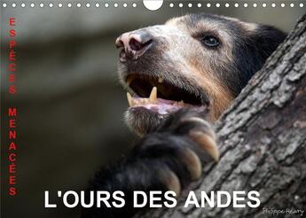 Couverture du livre « L ours des andes especes menacees calendrier mural 2020 din a4 horizontal - sur la piste de l ours d » de Philippe Henry aux éditions Calvendo