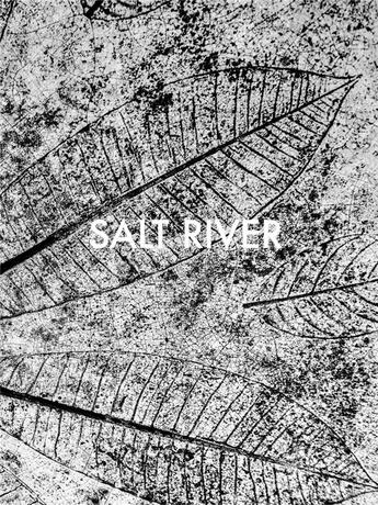 Couverture du livre « Sebastian Posingis : salt river » de Sebastian Posingis aux éditions Steidl