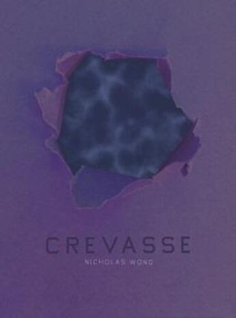 Couverture du livre « Crevasse » de Wong Nicholas aux éditions Dap Artbook