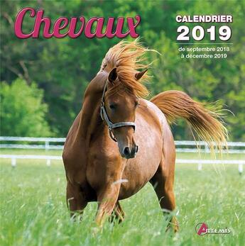 Couverture du livre « Chevaux (2019) » de  aux éditions Artemis