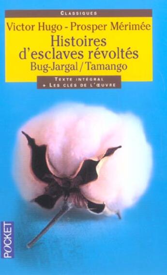 Couverture du livre « Histoires d'esclaves révoltés ; Bug-Jargal ; Tamango » de Victor Hugo et Prosper Mérimée aux éditions Pocket