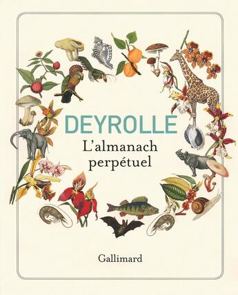 Couverture du livre « Deyrolle, l'almanach perpétuel » de  aux éditions Gallimard-loisirs