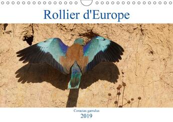 Couverture du livre « Decouvrez le rollier d europe » de Makhloufi Djama aux éditions Calvendo