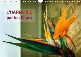 Couverture du livre « L harmonie par les fleurs calendrier mural 2018 din a4 horiz - arretons nous un instant pour » de Mocanu C aux éditions Calvendo