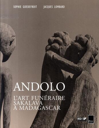 Couverture du livre « Andolo ; l'art funéraire sakalava à madagascar » de Jacques Lombard et Sophie Goedefroit aux éditions Biro