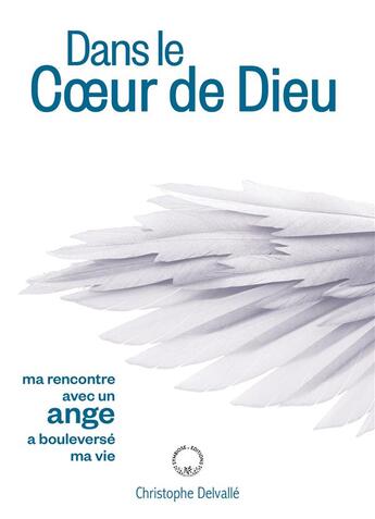 Couverture du livre « Dans le coeur de Dieu » de Christophe Delvalle aux éditions Symbiose