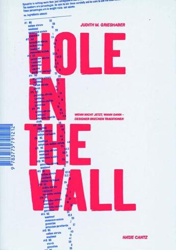 Couverture du livre « Hole in the wall » de Judith Grieshaber aux éditions Hatje Cantz