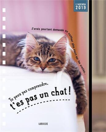 Couverture du livre « Tu peux pas comprendre t'es pas un chat - agenda » de  aux éditions Larousse