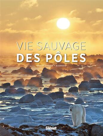 Couverture du livre « Vie sauvage des pôles » de Fabrice Genevois aux éditions Glenat