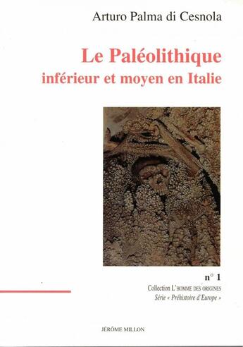 Couverture du livre « Le paleolithique inferieur et moyen en italie » de Palma Di Cesnola A. aux éditions Millon