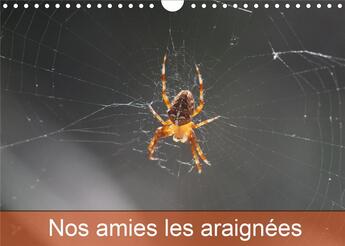 Couverture du livre « Nos amies les araignées (Calendrier mural 2020 DIN A4 horizontal) ; Le monde des araignées et des insectes (Calendrier mensuel, 14 Pages ) » de Martine Julien aux éditions Calvendo