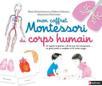 Couverture du livre « Mon coffret Montessori du corps humain » de Sabine Hofmann et Roberta Rocchi aux éditions Nathan