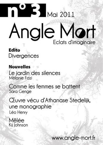 Couverture du livre « Revue Angle Mort T.3 » de Revue Angle Mort aux éditions Angle Mort