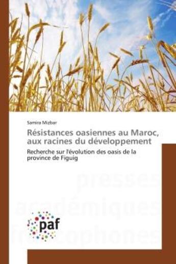 Couverture du livre « Résistances oasiennes au maroc, aux racines du développement » de Mizbar-S aux éditions Presses Academiques Francophones