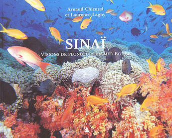 Couverture du livre « Sinaï ; visions de plongeurs en mer rouge » de Laurence Lagny et Arnaud Chicurel aux éditions Transboreal