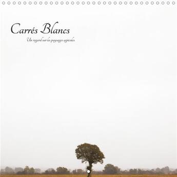 Couverture du livre « Carres blancs calendrier mural 2020 300 300 mm square - un regard sur les paysages agr » de Peverada Stepha aux éditions Calvendo