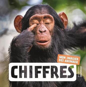 Couverture du livre « Chiffres mon imagier des animaux » de Naturagency aux éditions La Martiniere Jeunesse