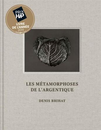 Couverture du livre « Les métamorphoses de l'argentique » de Denis Brihat aux éditions Le Bec En L'air