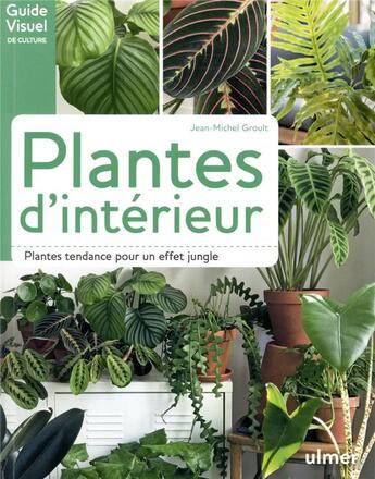 Couverture du livre « Plantes d'intérieur ; plantes tendances pour un effet jungle » de Jean-Michel Groult aux éditions Eugen Ulmer