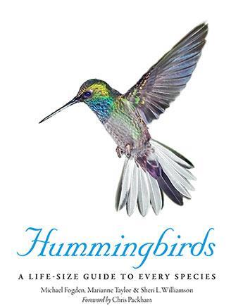 Couverture du livre « Hummingbirds ; a life-size guide to every species » de  aux éditions Ivy Press