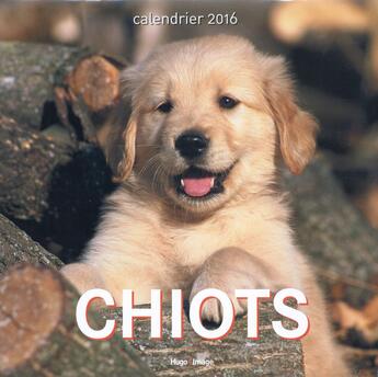 Couverture du livre « Calendrier mural 2016 ; chiots » de  aux éditions Hugo Image