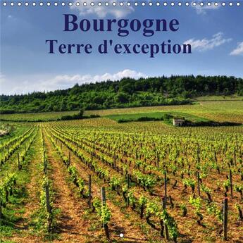 Couverture du livre « La bourgogne magnifique region » de Didier Sibourg aux éditions Calvendo