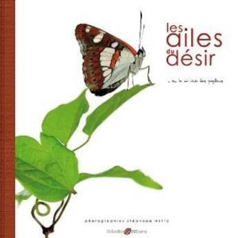 Couverture du livre « Les ailes du désir... ou la vie rêvée des papillons » de Stephane Hette aux éditions Declic