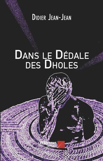 Couverture du livre « Dans le dédale des Dholes » de Didier Jean-Jean aux éditions Editions Du Net