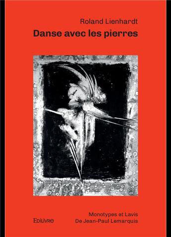 Couverture du livre « Danse avec les pierres » de Lienhardt Roland aux éditions Edilivre