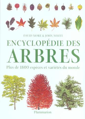 Couverture du livre « Encyclopedie des arbres - plus de 1800 especes et varietes du monde » de John White aux éditions Flammarion