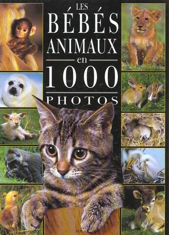 Couverture du livre « Les Bebes Animaux En 1000 Photos » de Suzanne Millarca aux éditions Solar