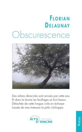 Couverture du livre « Obscurescence » de Florian Delaunay aux éditions Jets D'encre