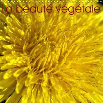 Couverture du livre « La beaute vegetale calendrier mural 2019 300 300 mm square - la nature est belle preservons » de Didier Sibourg aux éditions Calvendo