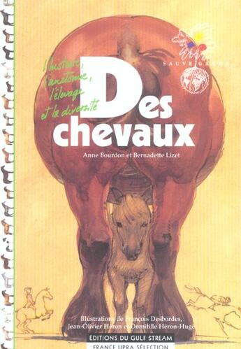 Couverture du livre « Des chevaux » de Anne Bourdon aux éditions Gulf Stream