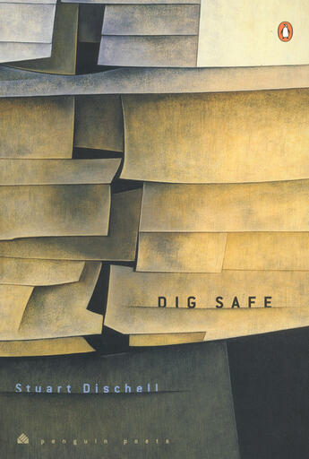 Couverture du livre « Dig Safe » de Dischell Stuart aux éditions Penguin Group Us