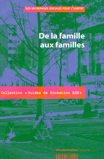 Couverture du livre « De la famille aux familles » de Guerin/Serge aux éditions Documentation Francaise