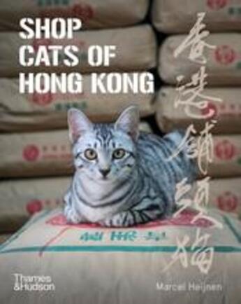 Couverture du livre « Shop cats of hong kong » de Heijnen Marcel aux éditions Thames & Hudson