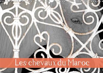 Couverture du livre « Les chevaux du maroc calendrier mural 2020 din a3 horizontal - balade dans les haras marocain » de Thebault Patric aux éditions Calvendo