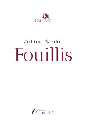 Couverture du livre « Fouillis » de Julien Bardot aux éditions Amalthee