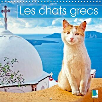 Couverture du livre « Les chats grecs calendrier mural 2018 300 300 mm square - des chats en vacances se prela » de Calvendo aux éditions Calvendo